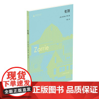 [正版]佐丽 北贝 惊奇 [美] 莱尔德·亨特/著 于是/译 外国文学 美国文学 文学奖 当代 小说 女性 人性 广西师