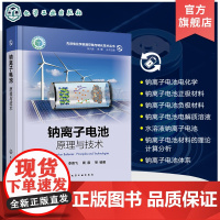 先进电化学能源存储与转化技术丛书 钠离子电池原理与技术 储钠原理 电极材料体系及电解质体系 高等院校化学物理材料等专业参