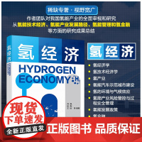 氢经济 刘强 张真 王恰 氢能技术经济氢能产业发展路径氢能管理和氢金融 氢经济氢技术经济学氢产业氢能汽车示范城市建设 正