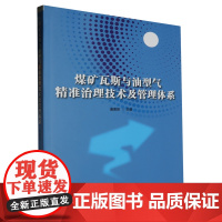 煤矿瓦斯与油型气精准治理技术及管理体系