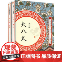 (上下2册)大八义中华武侠经典大八义小八义三侠五义小五义续小五义狭义小说书籍中国古典小说丛书