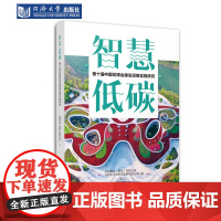 智慧·低碳:第十届中国花博会建设运维实践研究 同济大学出版社