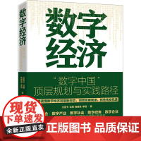 数字经济 "数字中国"顶层规划与实践路径 王亚卡 等 著 经济理论经管、励志 正版图书籍 化学工业出版社