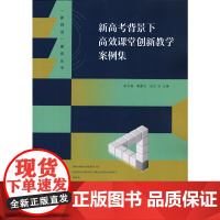 新高考背景下高效课堂创新教学案例集(“新师范”建设丛书)