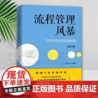 正版 流程管理风暴:EBPM方法论及其应用 第2版 博阳精讯 王磊 业务流程 流程风暴 流程管理 BPM BPR 博阳精