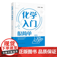 化学入门很简单 化学入门指南 轻松学化学 化学基础知识 化学反应 化学科普 初高中生学习化学课外读本 中学化学教师教学参