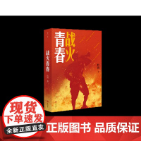 正版 战火青春 杜普 著 一个有关青春与战火、智慧与勇气的故事 战火中磨砺青春,战斗中淬火成长 济南出版社