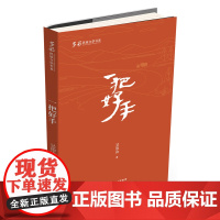 [正版新书]《多彩民族文学书系·一把好手》从平凡人的平凡日常中领悟生命的哲理