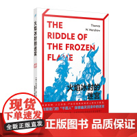 火焰冰封的迷宫 经典福尔摩斯风格侦探小说 千面人侦探故事巴尔干浪漫故事犯罪推理悬疑破案福尔摩斯探案 人民文学出版社