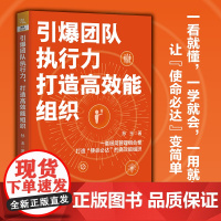 [正版书籍]引爆团队执行力,打造高效能组织 孙玉 著 一套极简管理组合拳 打造“使命必达”的高效能组织 中国铁道出版社