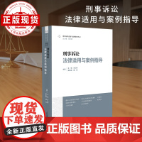 刑事诉讼法律适用与案例指导 刑事法律适用与案例指导丛书