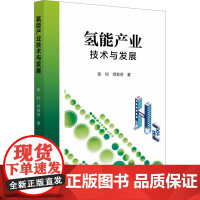 氢能产业技术与发展 张钊,师菲芬 著 能源与动力工程专业科技 正版图书籍 中国石化出版社