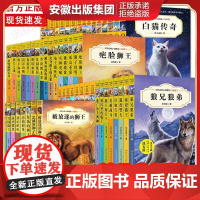 沈石溪动物小说全集全套正版三四五六年级小学生课外阅读书籍儿童文学读物故事书中外精品狼兄狼弟虎豹兄弟情霸王龙父子情绝境血狼