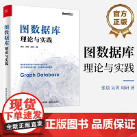 正版 图数据库 理论与实践 图数据库的理论图数据库概念底层技术原理图数据库行业应用案例书 张晨 吴菁 周研 电子工业出版