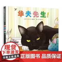 华夫先生!(新) [美]大卫·威斯纳 著 启发文化 译 著 启发文化 译 绘本/图画书/少儿动漫书少儿 正版图书籍