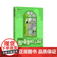 围墙里的小柯 两届全国优秀儿童文学奖获得者薛涛经典作品 不断塌陷的围墙里发生的神秘故事