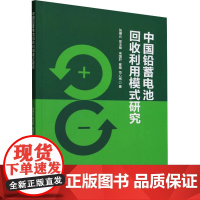 中国铅蓄电池回收利用模式研究 张德元,吴玉锋, 宋国轩,崔璇,范心雨 著 著 经济理论经管、励志 正版图书籍