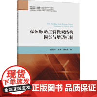 煤体脉动压裂微观结构损伤与增透机制 倪冠华,王镇,贾济亮 著 矿业技术大中专 正版图书籍 中国矿业大学出版社