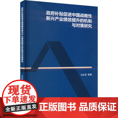 政府补贴促进中国战略性新兴产业绩效提升的机制与对策研究 马永军 等 著 经济理论经管、励志 正版图书籍