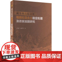 藏东南高陡边坡粗颗粒混合土稳定机理及改良加固研究 王培清,赵哲苇 著 建筑/水利(新)专业科技 正版图书籍