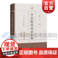 中医临床病证大典外科病卷 中医临床病证大典总陈仁寿主编上海科学技术出版社中医临床外科病证教学科研类书中医药文献研究