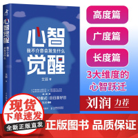 心智觉醒:我不介意会发生什么 3大维度的心智跃迁 高度篇广度长读 直击本质作者新作 艾菲作品 原理内耗自我提升