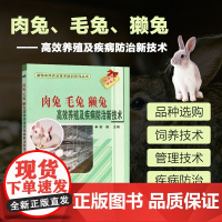 正版书籍 肉兔毛兔 獭兔高效养殖及疾病防治新技术 肉兔毛兔和獭兔概述 高效养殖技术 獭兔的饲养管理技术 常见兔病的防治参