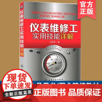 正版 仪表维修工实用技能详解 仪表维修常用仪器工具使用 自动化装置故障诊断方法 常见故障处理故障实例分析仪表维修人员参考