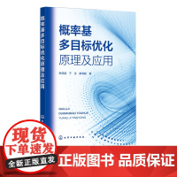 概率基多目标优化原理及应用 多目标优化方法现状分析 系统论观点下概率基多目标优化基本原理和方法 概率基多目标试验设计方法