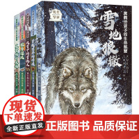 新版 黑鹤动物小说系列全套5册 黑鹤给孩子的生命智慧 雪地狼辙 故事书沈石溪福建省读一本好书小学生四五六年级课外阅读书籍