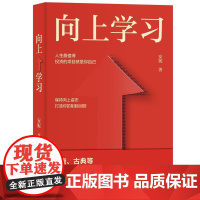 向上学习 安妮 著 励志经管、励志 正版图书籍 中国经济出版社