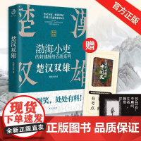 楚汉双雄 渤海小吏的封建脉络百战作品系列 舍不得看完的中国史 中国历史 楚汉争霸,群雄并起 中国古代史上最精彩的8年