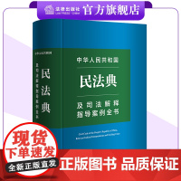 中华人民共和国民法典及司法解释指导案例全书 民事实务案头宝典 现行有效的与民法相关的法律 法律出版社