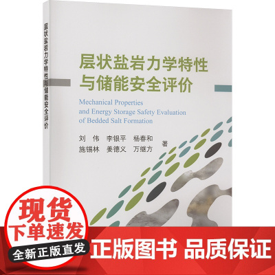 层状盐岩力学特性与储能安全评价 刘伟 等 著 矿业技术专业科技 正版图书籍 冶金工业出版社