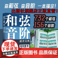 和弦音阶速查宝典 文武贝 和弦、音阶多维图表查 和弦、查音阶,一本工具书让你快速搞定!钢琴基础教程入门书 思维导图巧学