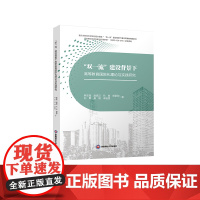 “双一流”建设背景下高等教育国际化理论与实践研究9787550461635西南财经大学出版社正版自营