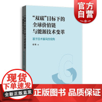 “双碳”目标下的全球价值链与能源技术变革基于技术偏向的视角 杨博著上海人民出版社