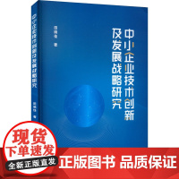 中小企业技术创新及发展战略研究 田晓佳 著 企业管理经管、励志 正版图书籍 九州出版社