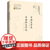 中国文学史 中国纯文学史 刘大白,金受申 著 陈文新,余来明 编 文学史文学 正版图书籍 崇文书局