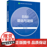 BIM基础与建模 杨润丰 编 大学教材大中专 正版图书籍 中国轻工业出版社