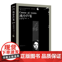 风中芦苇(诺贝尔文学奖作家文集·黛莱达卷)1926年诺奖得主黛莱达的经典之作