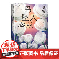 赠飘银书签]白鸟坠入密林 贝客邦新书 消失的孩子原著 海葵小说作者 一桩0恶人少女失踪案 国产侦探悬疑小说书排行榜