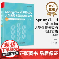 店 Spring Cloud Alibaba大型微服务架构项目实战 上册 十三 十大组件精讲 洞悉微服务精髓 微服务系统