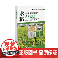 水稻机插侧深施肥技术图解 水稻机插侧深施肥技术特点 水稻机插侧深施肥装置 机插侧深施肥工艺流程 机插侧深施肥存在问题对策