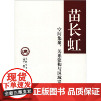 空间集聚、关系建构与区域发展(精)--全国宣传文化系统“四个一批”人才作品文库 苗长虹 中华书局