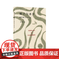 镜子与迷宫:俄罗斯文化评论 从文学、电影等不同侧面带你走进迷人的俄罗斯文化深处