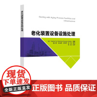 [店]老化装置设备设施处理 CCPS Wiley 风控技术 中国石化出版社