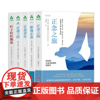 [颉腾店]走进正念书系:正念青年/职场正念/正念工作/叶子轻轻飘落/正念之旅有效解决职场、护理、成长中的压力与情绪难题