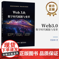 正版 Web3.0:数字时代赋能与变革 贾新峰 Web3.0赋能企业发展实现变革 推动商业模式深刻变革 电子工业出版社