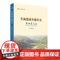 “纪录小康工程”地方丛书·全面建成小康社会陕西变迁志